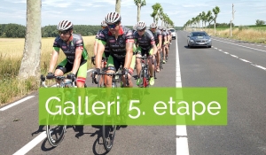 Galleri 5. etape