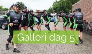 Galleri Etape 5