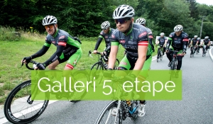 Galleri 5. etape
