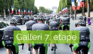 Galleri 7. etape