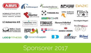 Sponsorbesøg 2017